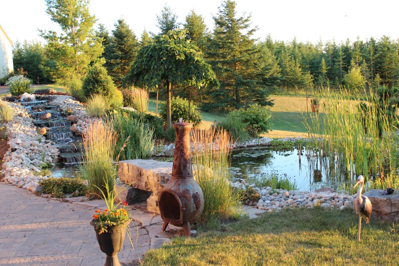 pond feature kitchener