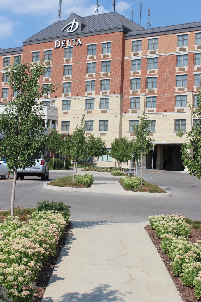 commercial landscaping