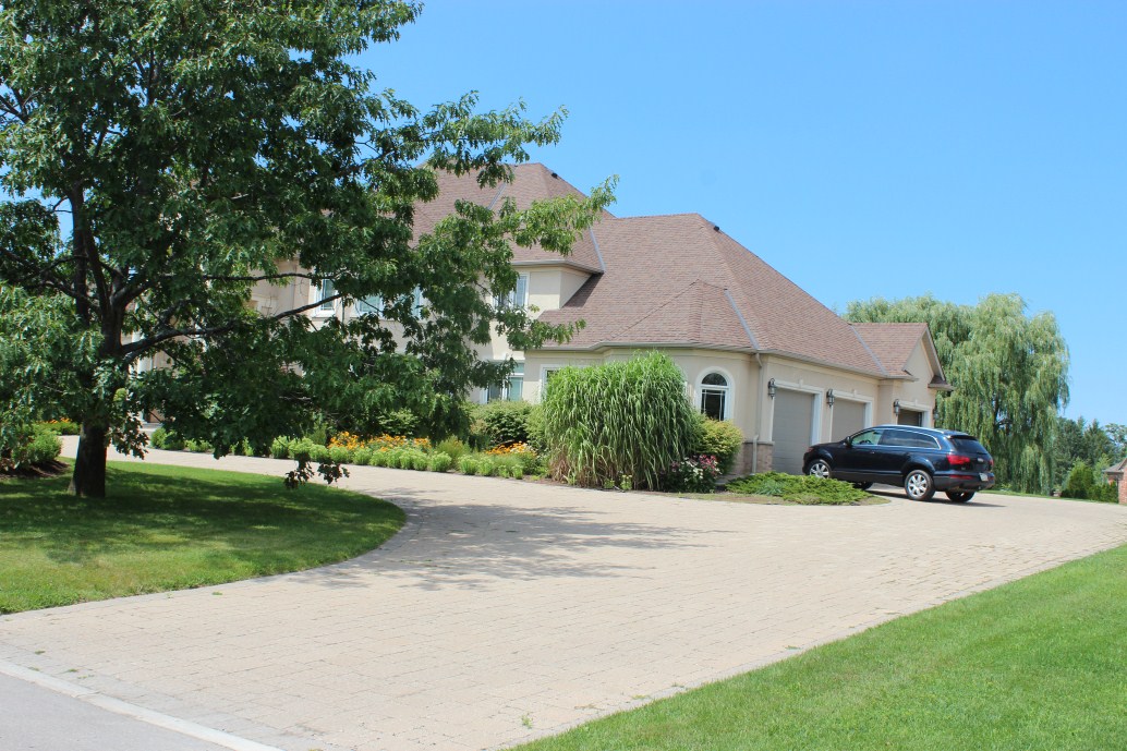 planting, seeding and lawn design